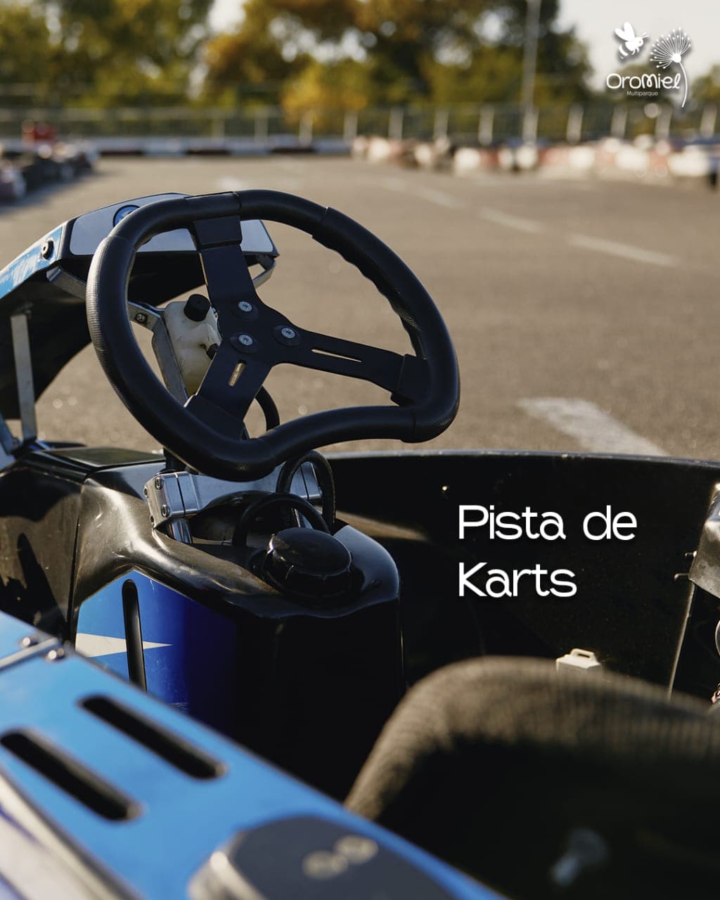 4x4 Go Karts - Experiencia en Oromiel Multiparque, Ráquira